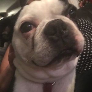 Meet your Posher, Catarina